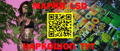 стафф Сланцы