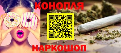 мдпв Славгород
