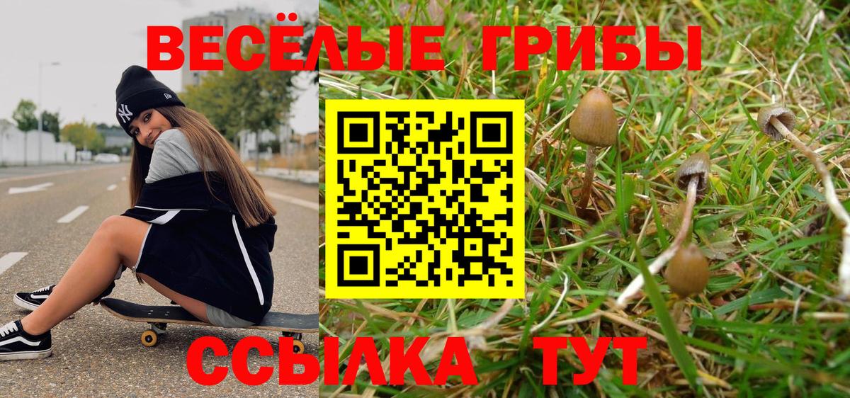 Псилоцибиновые грибы Magic Shrooms  Псилоцибиновые грибы Magic Shrooms  Самара  Вход с VPN 